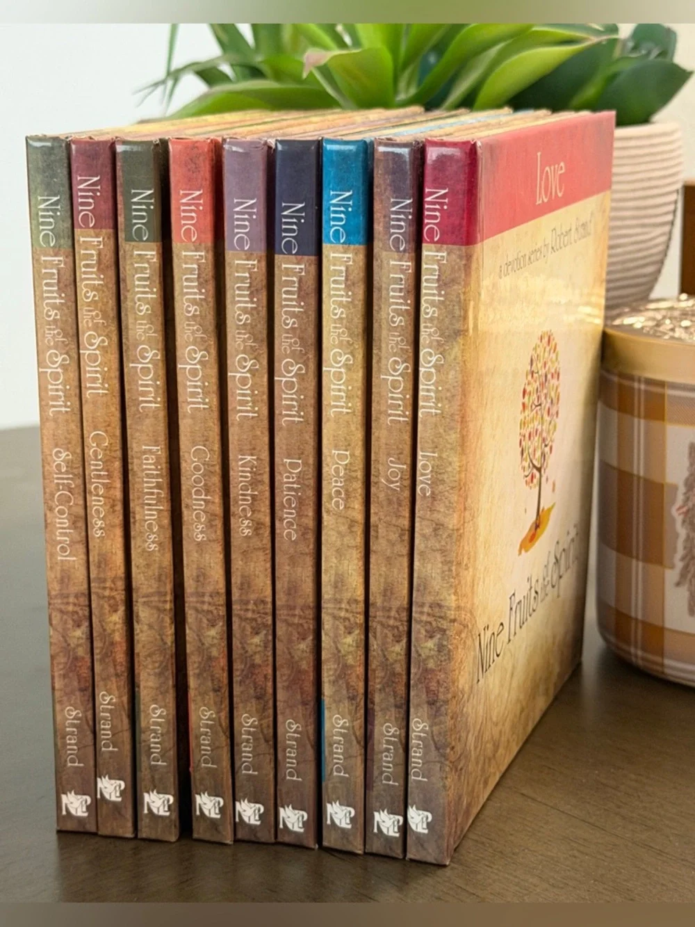 Set of 9 New Fruits Of The Spirit Books